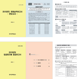 경영평가보고서, 관공서보고서
